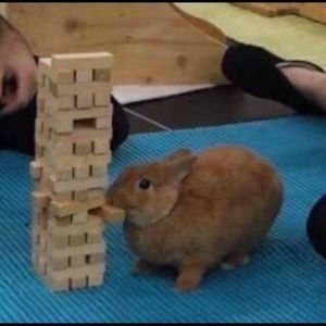 Meet your Posher, Becca